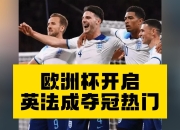 九游官网入口活动-关于法国队在欧洲锦标联赛中夺冠呼声高涨的信息