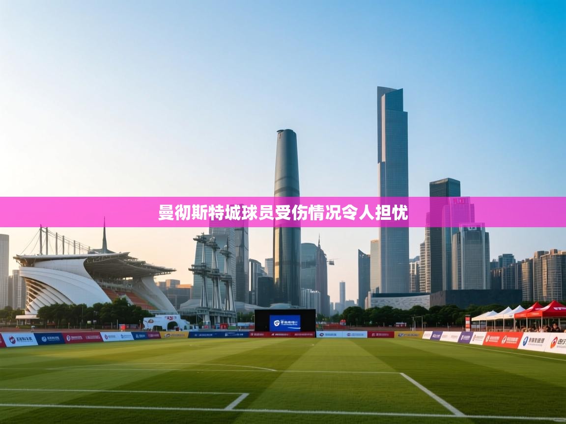 曼彻斯特城球员受伤情况令人担忧 第2张