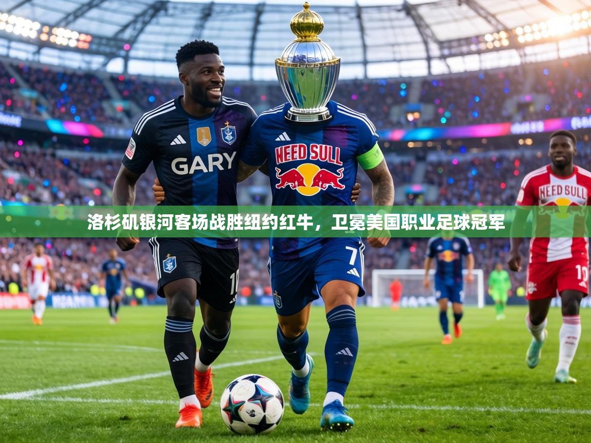 洛杉矶银河客场战胜纽约红牛，卫冕美国职业足球冠军  第1张