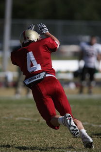 九游官网入口下载-明星球员社会影响力不断扩大，影响力 球员 心中 觉得